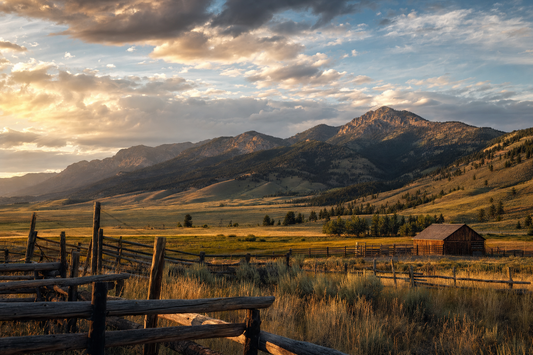 Montana Roots: Where It All Began