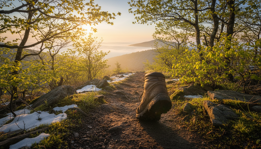The First Footsteps: Return to the Trail